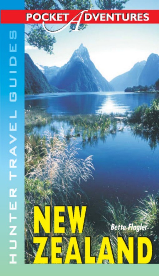 Cover image for New Zealand Pocket Adventures